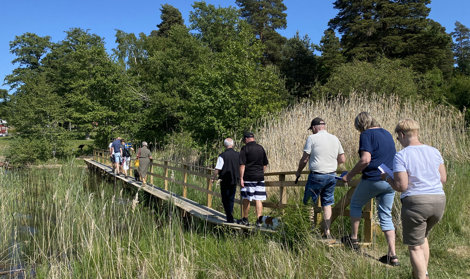 En av de två spänger som byggts av Byalaget för "torrskodd" vandring.