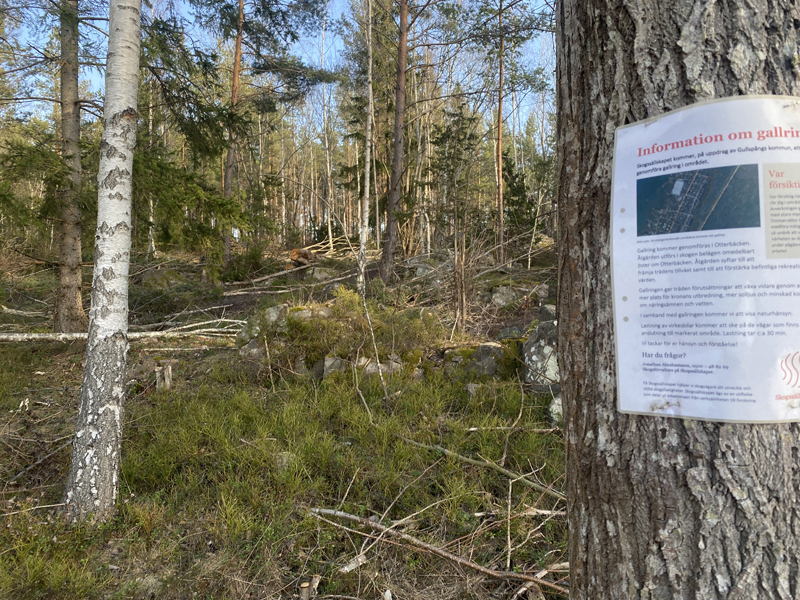 Skogssälskapets information och skräpig skog