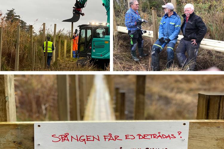 Arbete med spångbygge